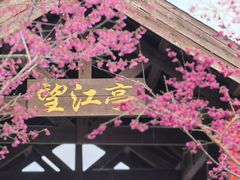 -福建鲤鱼洲酒店