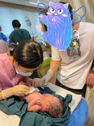 -杭州贝瑞斯美华妇儿医院·早孕·产检·儿科