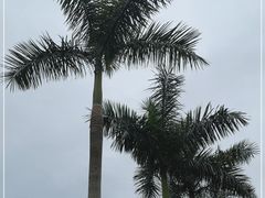 -广州市白云山风景名胜区