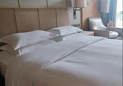 -大美母婴月子中心(希尔顿店)