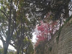 -苍山感通索道