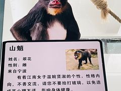 -西安秦岭野生动物园