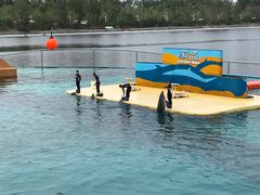 -秦皇岛乐岛海洋王国