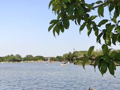 -石家庄市植物园