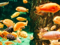 -太平洋海底世界