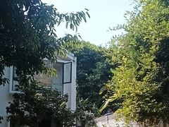-柠檬花院烤肉·会议团建·聚会·求婚(三圣乡店)