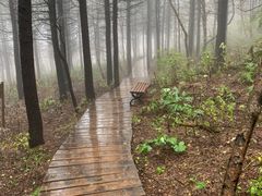 -白草畔自然风景区