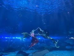 -华夏文旅海洋公园