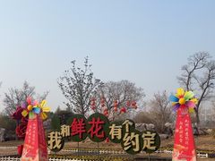 -南通鲜花小镇