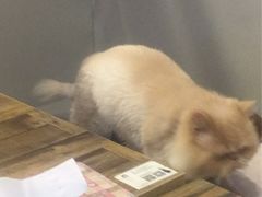 -小时光咖啡馆(开森度假森林店)