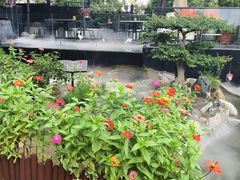 -蘇河湾·新鲁菜·泰山宴(泰山店)
