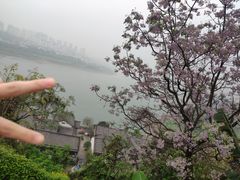 -大渡口区义渡公园