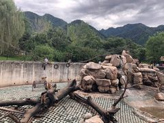 -西安秦岭野生动物园