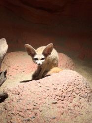 -酷嗒动物文化乐园(cutezoo西溪乐天城店)