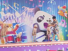 -灵玲国际马戏城