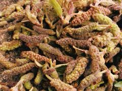 -汉长安城未央宫国家考古遗址公园