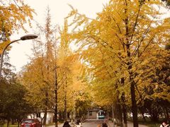 -四川大学(望江校区)