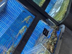 -徐记海鲜·宴会(大唐西市|丰庆店)