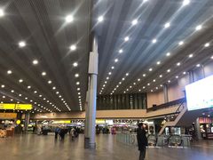 -谢列梅捷沃国际机场