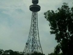 android_upload_pic-东岳公园