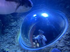 -成都浩海立方海洋公园