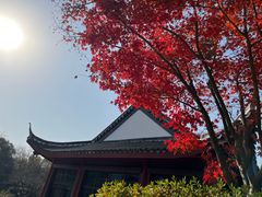 -天目湖涵田度假村