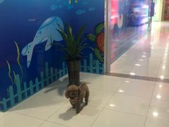 -万达广场(惠州大亚湾店)