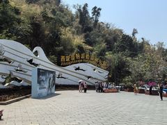 -西双版纳原始森林公园