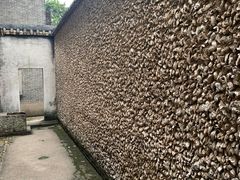 -碧江金楼