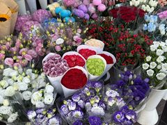 -三圣花乡旅游区