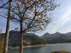 -泽雅七瀑涧景区
