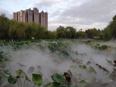 -渭滨公园