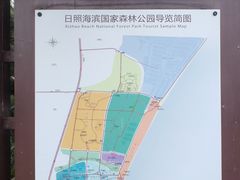 -日照海滨国家森林公园