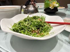-沪碟·精菜坊(闵行店)