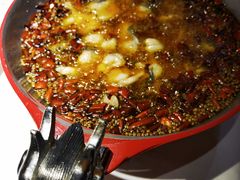 -雲蜀龙阁·金牌水煮鱼(方庄店)