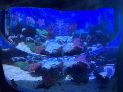 -南昌融创海世界