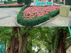 -龙环葡韵住宅式博物馆