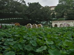 -龙环葡韵住宅式博物馆