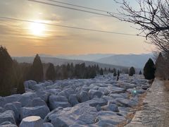 -原山国家森林公园