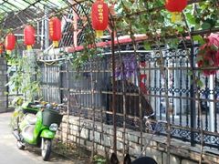 -大海别墅民宿农家院(十渡店)