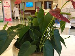 -重庆民众体检中心(奥体分院)