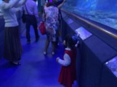 -厦门海底世界