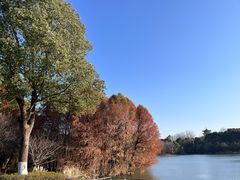 -梁鸿国家湿地公园