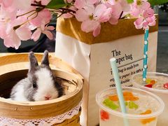 -大象厨房(重庆道店)