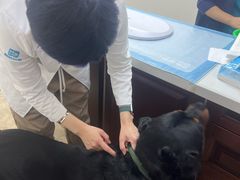 -美联众合动物医院·24h转诊中心