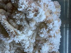 -湖南省地质博物馆