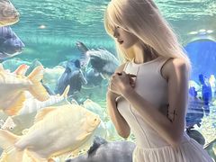 -成都浩海立方海洋公园