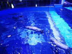 -上海海昌海洋公园-冰山北极馆