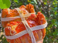 -阳澄湖大闸蟹·琼灵阁牌品牌连锁(吴中总店)