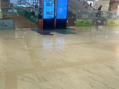 -远洋未来汇